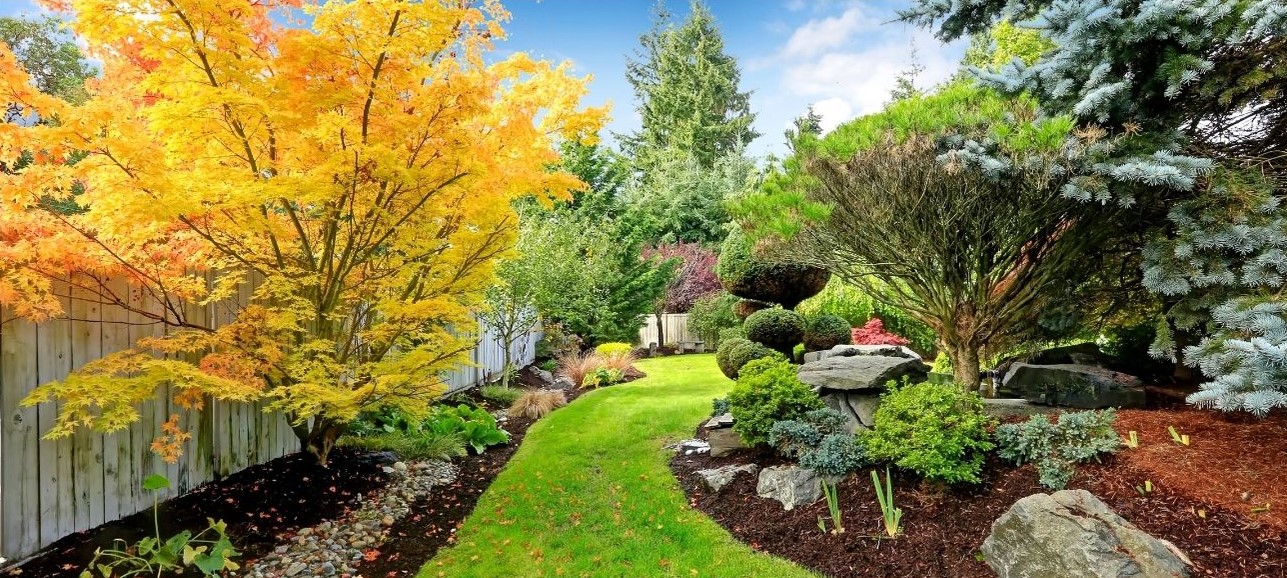 Outdoor Enhancements